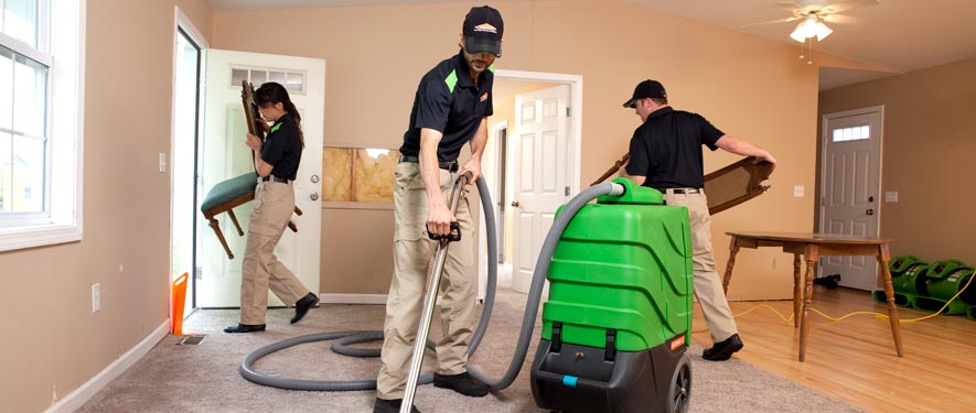 Wesley Chapel, FL cleaning services